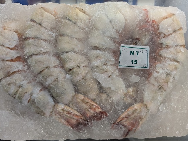 （無頭殻付）　天然超大型サイズ　優良品　ブラックタイガー　OQNT15尾　高級とんかつ屋さんなど　品薄超特大海老