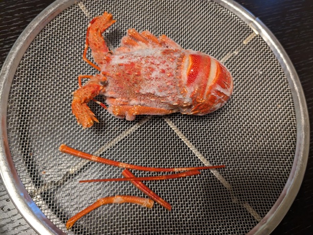 ボイルロブスター　アフリカ産もしくは、　トリスタン産　１尾２５０ｇ　※飾り用にはなりません。