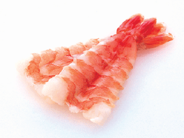 寿司海老　8Ｌサイズ　２０尾入り　すしえび　スシエビ　鮨　ちらし寿司　 握り寿司　ランチ　ビュッフェホテル寿司