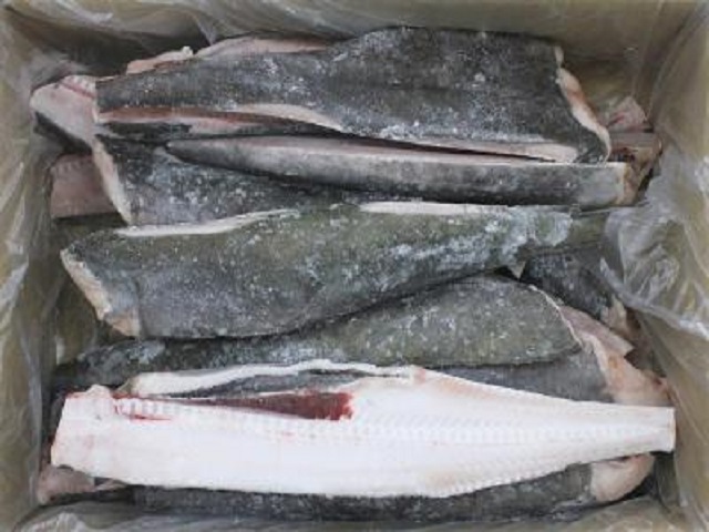 冷凍   ギンダラセンターカット箱売り　１０ｋｇ
