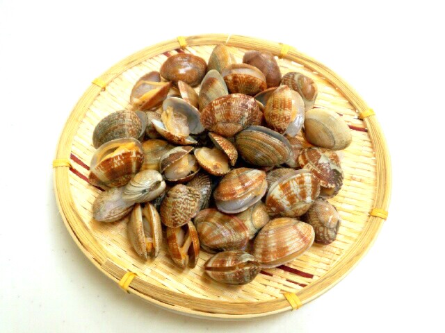 良品　殻付き アサリ （砂抜き処理済み）　５００ｇ入り 　あさり　浅利　味噌汁　酒蒸し　パスタ　居酒屋メニューなど　おすすめ