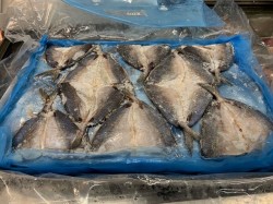 冷凍　アジの開き　80尾　４ｋｇ入り　アジフライ　天ぷら　南蛮漬け　鯵　あじ