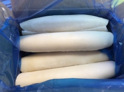 ロールイカ５尾　業務用　５ｋｇ入り 箱売り　どんな料理にも　炒め物・焼き物・中華料理　