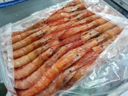 天然　アルゼンチン赤海老　大サイズ　お刺身　カルパッチョなど　売れてます！
