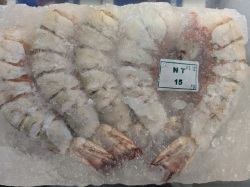 （無頭殻付）　天然超大型サイズ　優良品　ブラックタイガー　OQNT15尾　高級とんかつ屋さんなど　品薄超特大海老