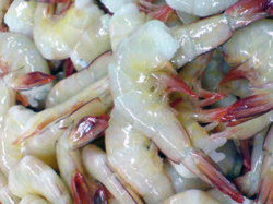 （無頭殻付）　優良品　天然バナナ海老　8/12　天ぷら、フライ、塩焼き、おすすめ