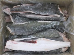 冷凍   ギンダラセンターカット箱売り　１０ｋｇ