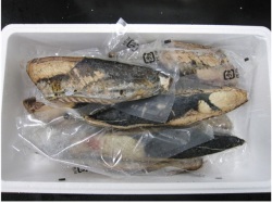 炭焼カツオタタキ 3kg 箱売り　かつお　鰹　冷凍品　箱売り　刺身ネタ、丼ぶりやカルパッチョに