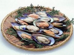 パーナ貝　1ｋｇ　おすすめ！　ぱーな　パスタ、パエリア、おもてなし料理　パーティなど