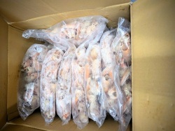 業務用 冷凍 スキャンピーヘッド だし用 ソース用 手長海老 海老頭  　ケース売り　業務用として