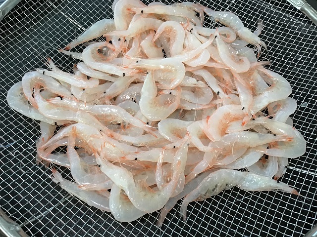 富山産 しろ海老 冷凍品200g