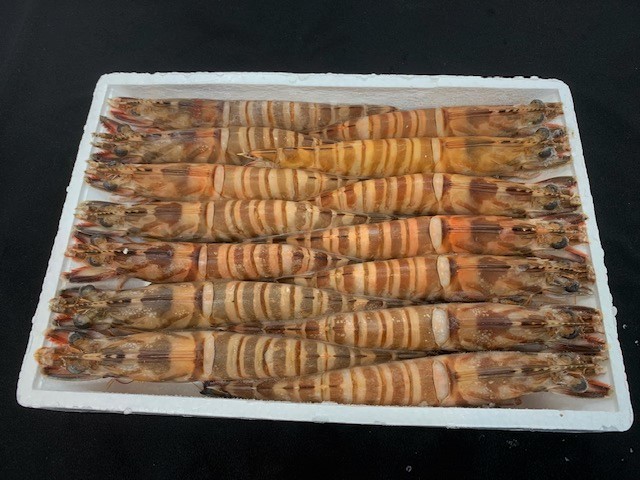 有頭 天然 車海老 １４尾 １ｋｇ版 重量 １尾７１ｇ