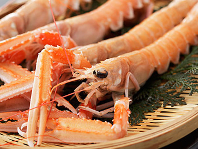 スキャンピー(デンマーク産赤座エビ） 13/16サイズ スキャンビー通販