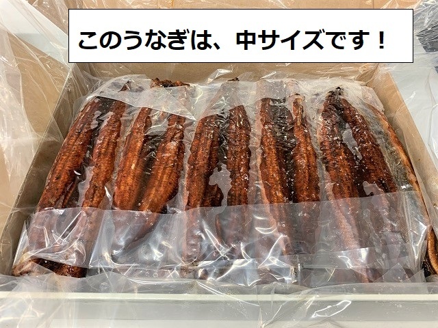 冷凍 業務用 うなぎ長焼き 大サイズ 5kg版 約15尾前後 ウナギ 鰻 蒲焼
