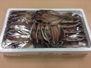 鯵の干物　ひらき　16枚入り　アジ　あじの干物