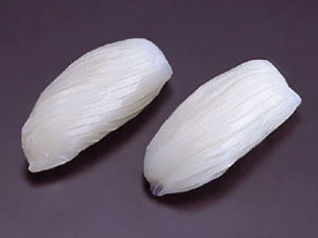 万能紋甲イカ　Lサイズ　ケース売り（1ケース＝10枚入り）