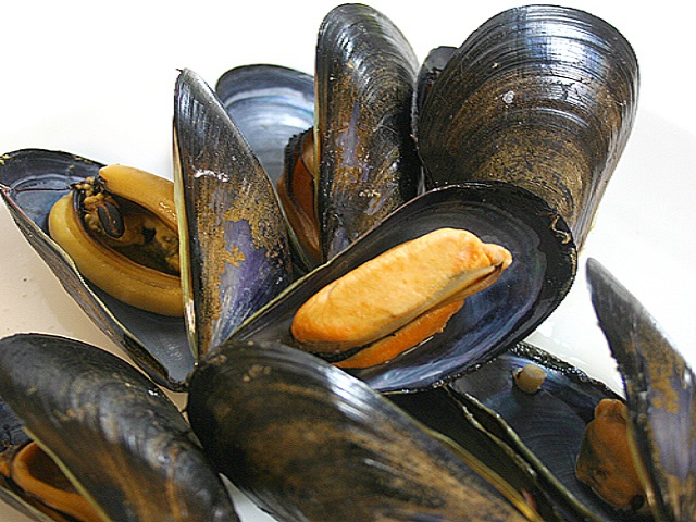 殻付ムール貝（25－35粒／500g）　おすすめ！　パエリア、ブイヤベース　むーる