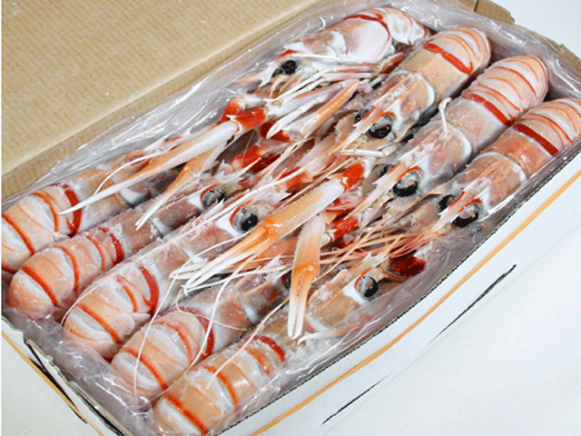 ニュージーランド産スキャンピーG１（手長海老/ラングスティーヌ）