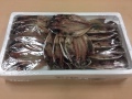 鯵の干物　ひらき　16枚入り