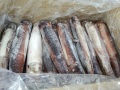 船凍　IQF　スルメイカ　23-25　8ｋｇ　おすすめ商品