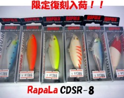 【RapaLa】CDSR-8