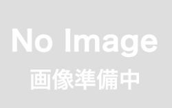 ◆1/43 2017 フェラーリ　F1　SF70H　＃５　ベッテル