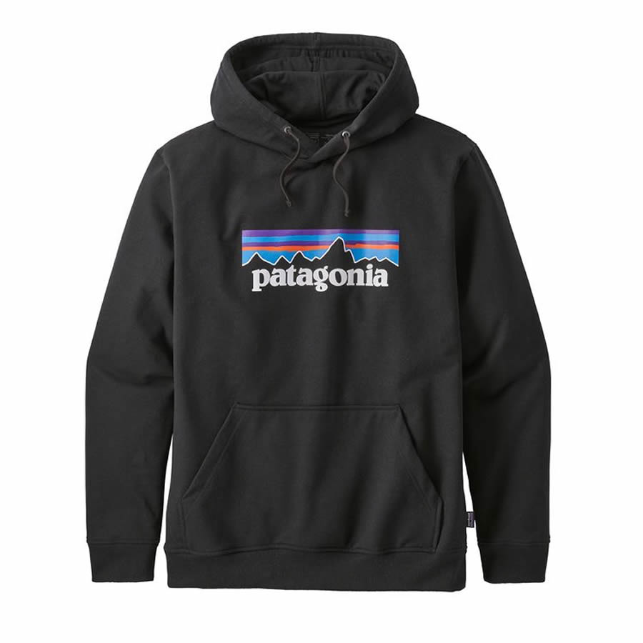 patagonia,パタゴニア,スウェットプルオーバーパーカー,フーディー,ロゴ,p6,p-6,メンズ,レディース,定番