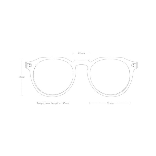 RAEN Optics レイン サングラス / REMMY 52 - COVE x GREEN