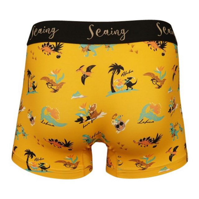 SEAING (シーング) / 水陸両用 インナー ボクサーパンツ アンダー
