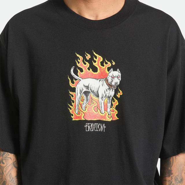 BRIXTON,ブリクストン,トップス,Tシャツ,半袖,ボックスシルエット,新作,メンズ,男性,大阪,亀,カメ,正規取り扱い
