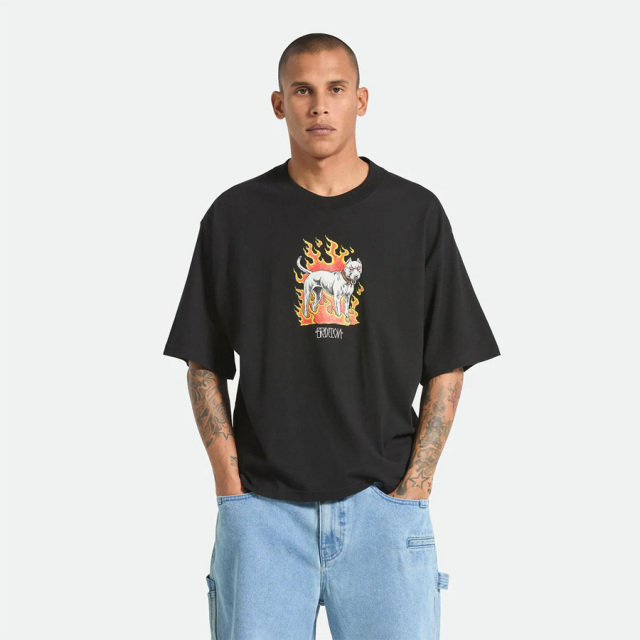 BRIXTON,ブリクストン,トップス,Tシャツ,半袖,ボックスシルエット,新作,メンズ,男性,大阪,亀,カメ,正規取り扱い