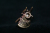 戦国武将シルバーアクセサリー【武田信玄】
