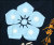 戦国武将Tシャツ【虎退治・加藤清正】