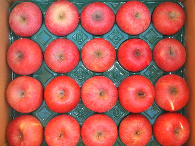 信州サンふじりんごをお手頃価格で。お歳暮・贈り物に。