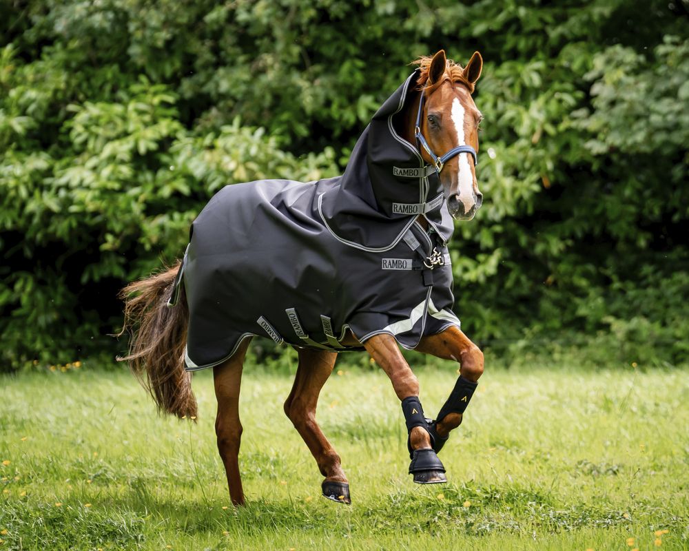 Rambo  1680D Plus ターンアウト（ネック付き）