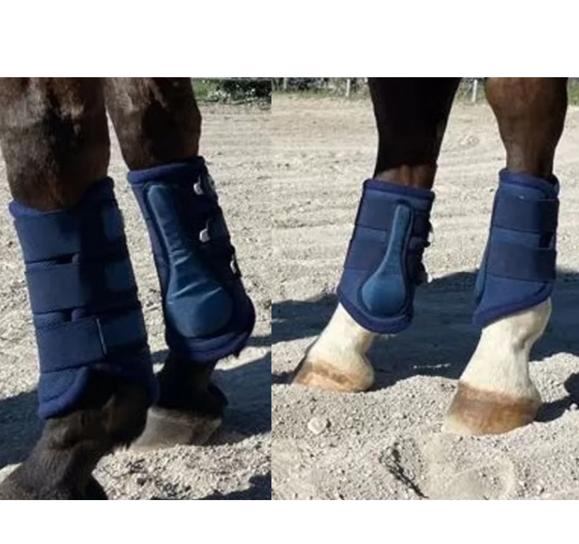 Horsesメッシュブーツ4本セット