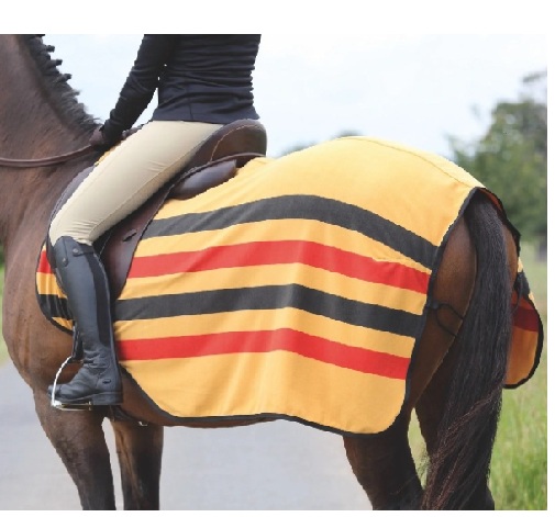 テンペストフリースエクササイズシート　ニューマーケット