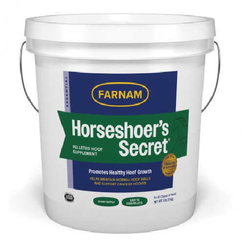 ホースシューズシークレット