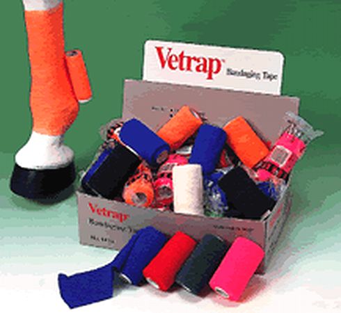 乗馬ショップマイネ（meine.jp）