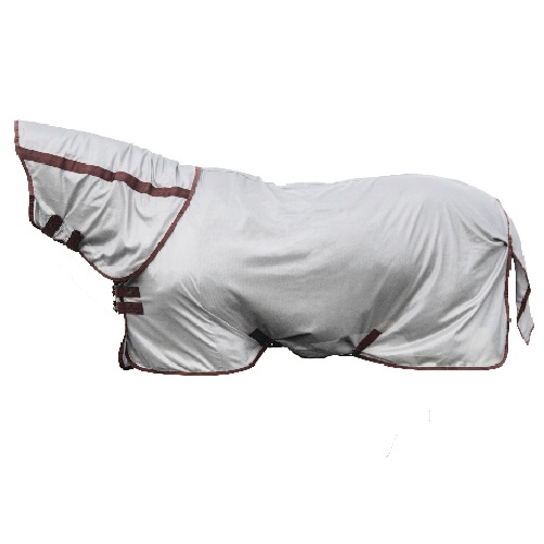 KENTUCKY　Mesh Fry ラグ CLASSIC