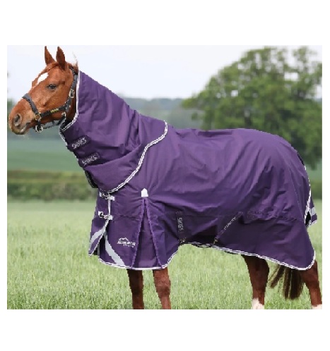 SHIRES　ハイランダー100ネックセット