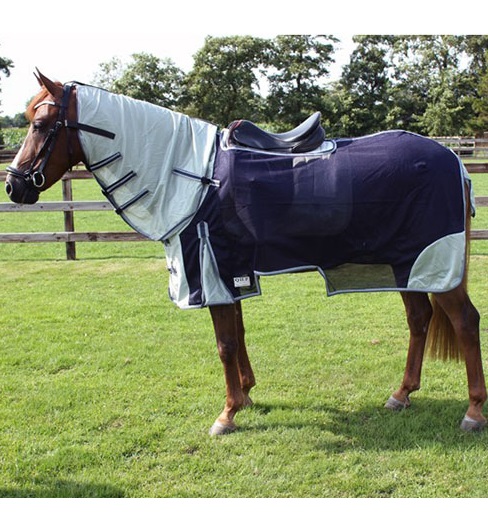 QHOエクササイズフライライド