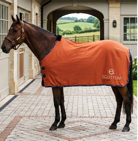 Equityum　コペルタ  パイル  アデル