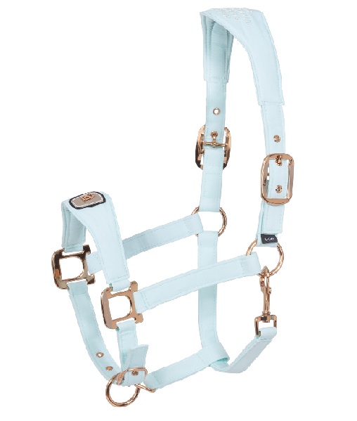 CAVALLO　 26SS ホルター PAWEL