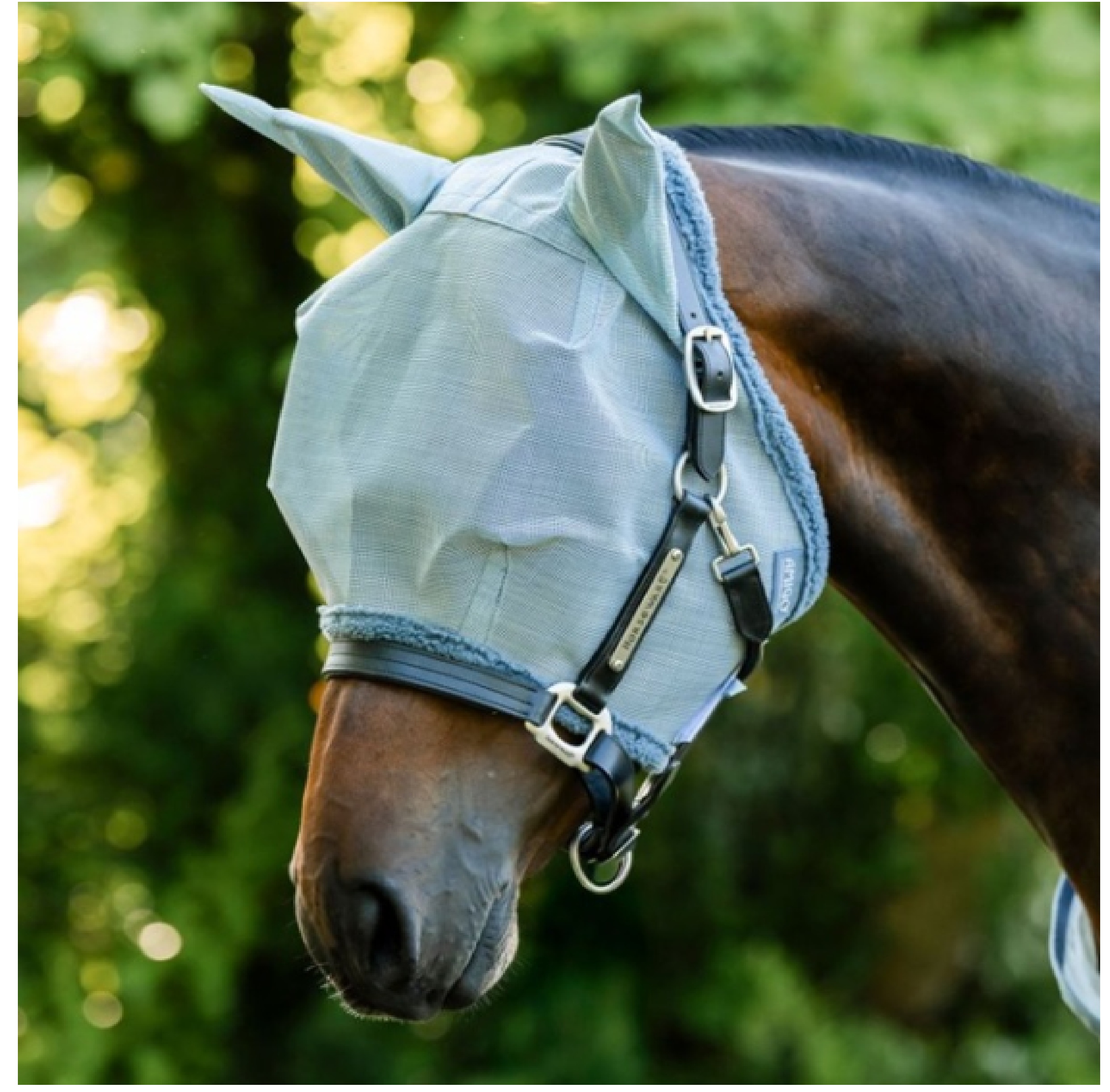 AMIGO    FLY Mask