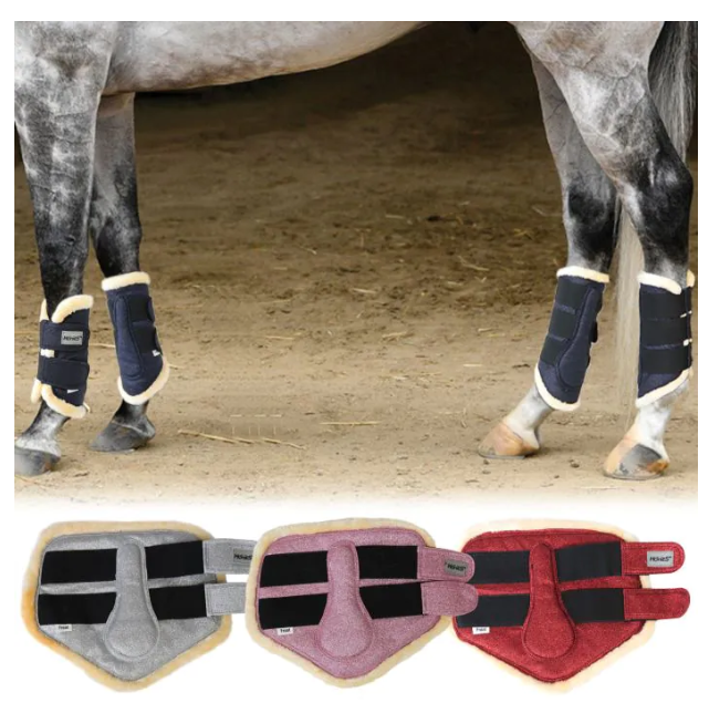 Horses プロテクター ４肢セット