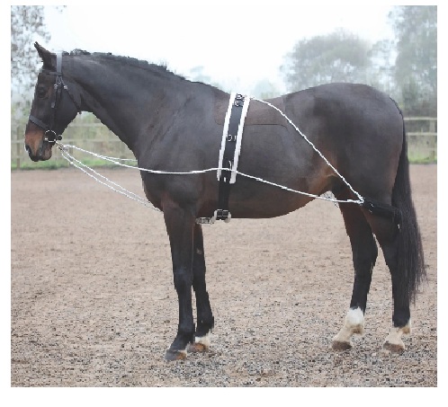 LUNGING　AID　