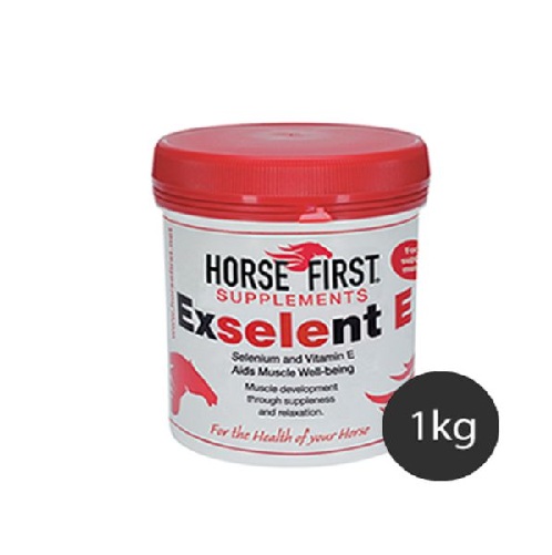 Horse FirstエクセレントE