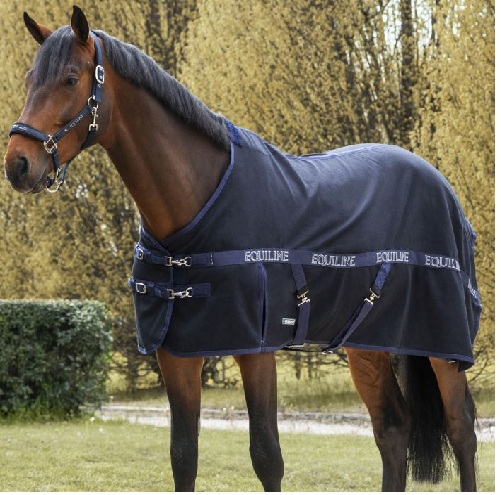 Equiline    レイノサ コットンラグ
