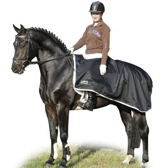 HKMウォータープルーフエクササイズシート